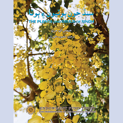 The Plants and Drugs of Sindh